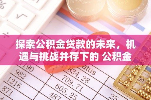 瑶海探索公积金贷款的未来，机遇与挑战并存下的 公积金贷款风险防控