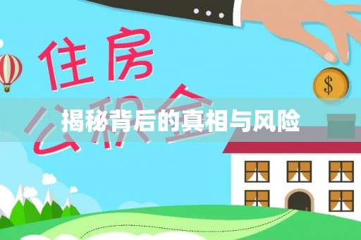 瑶海揭秘背后的真相与风险
