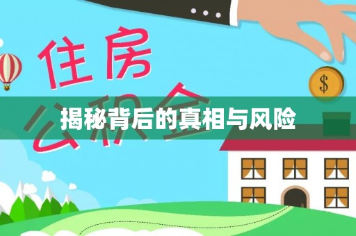 瑶海揭秘背后的真相与风险