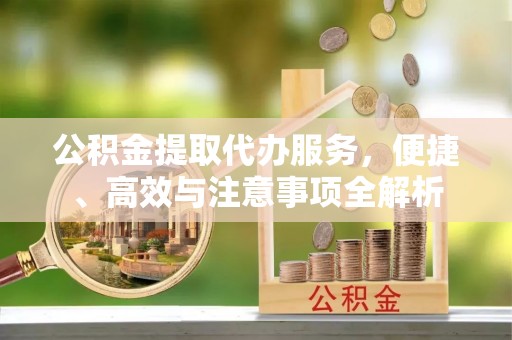 瑶海公积金提取代办服务，便捷、高效与注意事项全解析