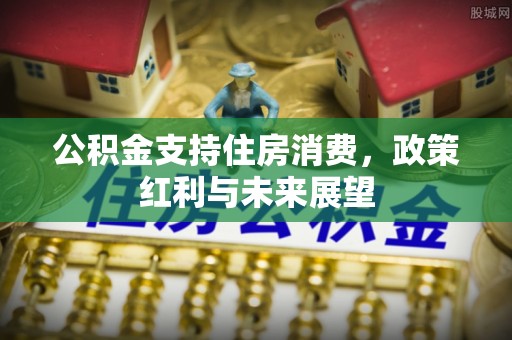瑶海公积金支持住房消费，政策红利与未来展望