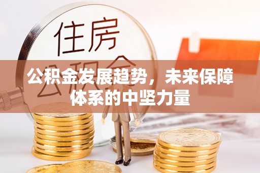 瑶海公积金发展趋势，未来保障体系的中坚力量