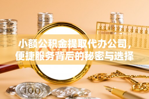 瑶海小额公积金提取代办公司，便捷服务背后的秘密与选择指南