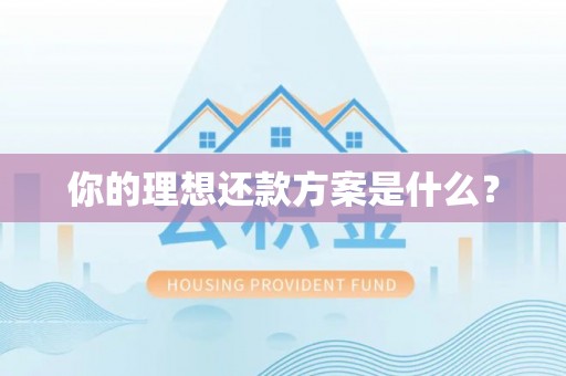 瑶海你的理想还款方案是什么？