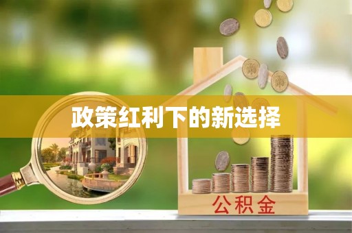 瑶海政策红利下的新选择