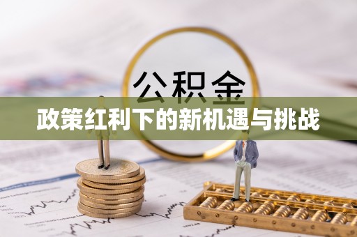 瑶海政策红利下的新机遇与挑战
