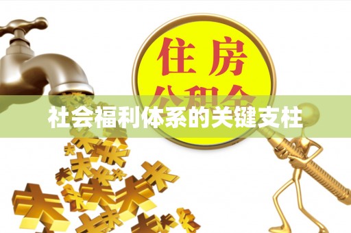 瑶海社会福利体系的关键支柱
