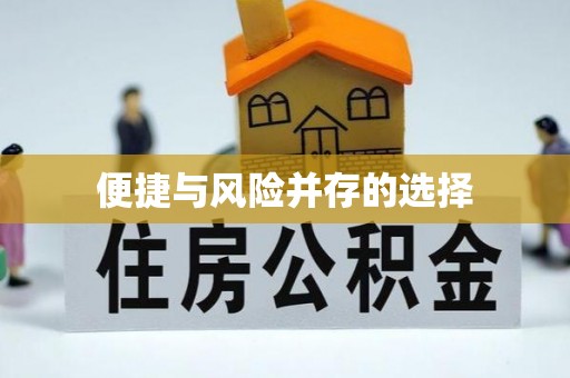 瑶海便捷与风险并存的选择