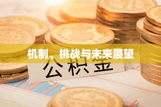 瑶海机制、挑战与未来展望